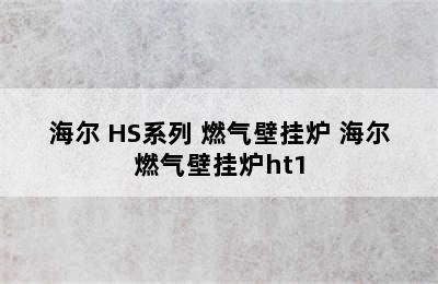 Haier/海尔 HS系列 燃气壁挂炉 海尔燃气壁挂炉ht1